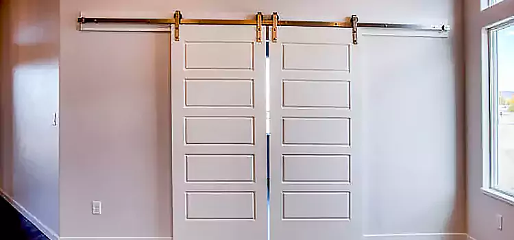 Glass Barn Door with Installation Hardware Kit Fairview Heights