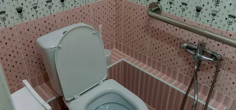 Meeting Diverse Needs With Accessible Restroom Solutions in Fairview Heights, IL