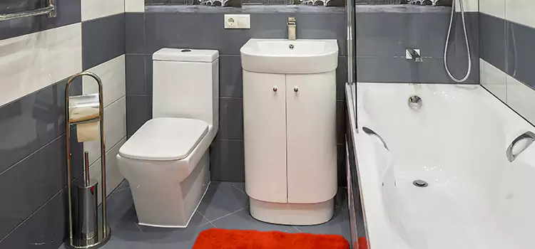 Hansgrohe Shaving Mirror Fairview Heights
